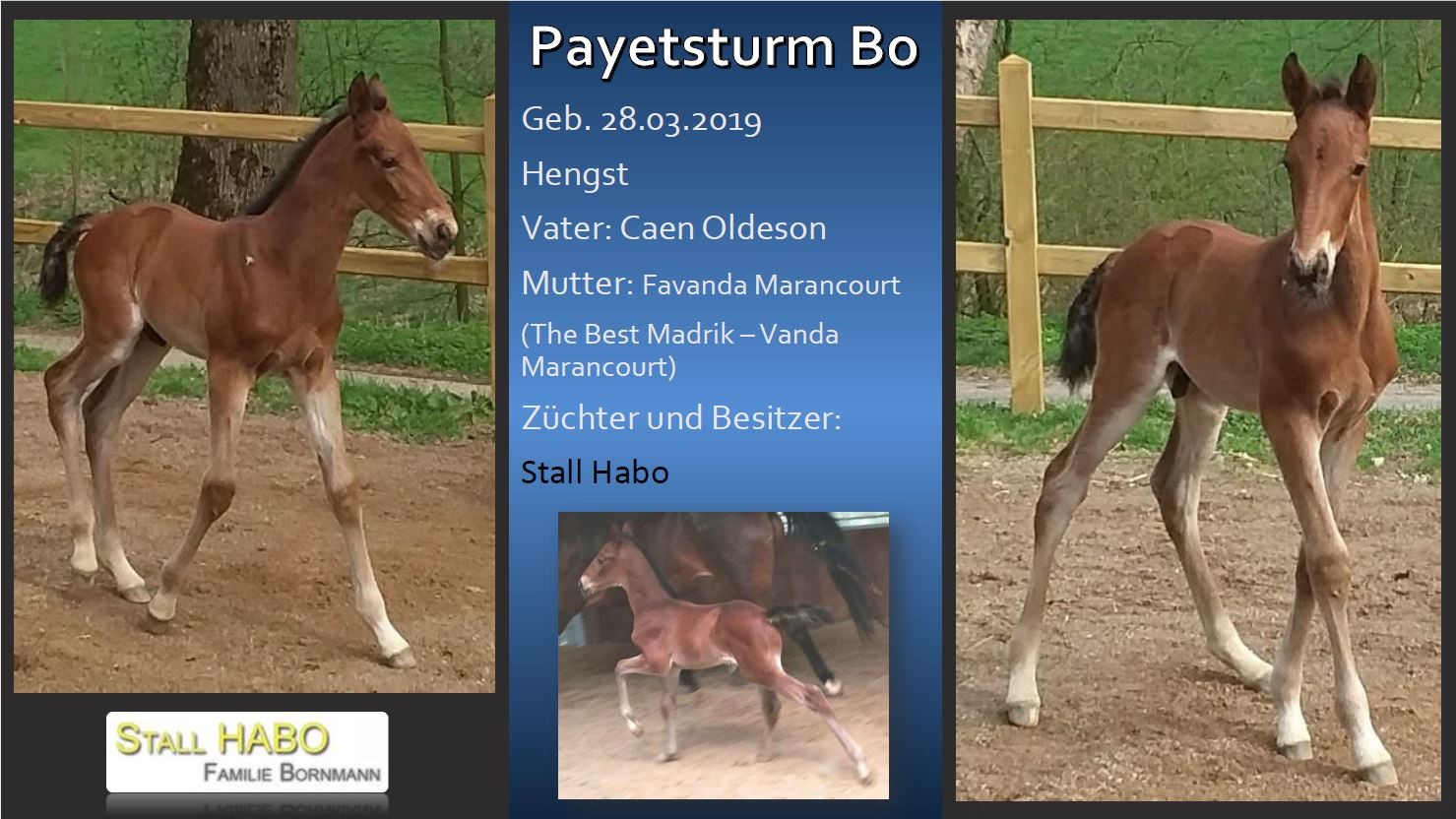 Payetsturm Bo