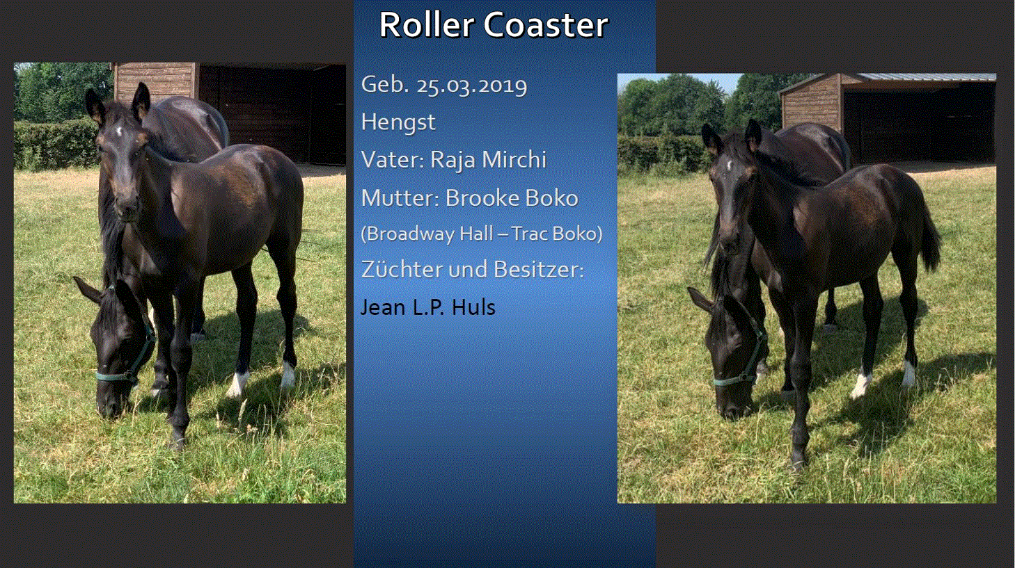 Roller Coaster