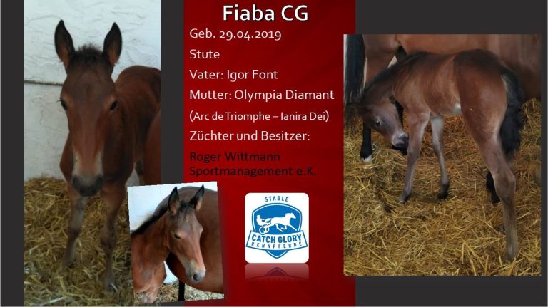 Fiaba CG