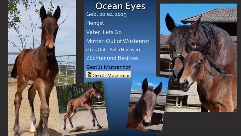 Ocean Eyes