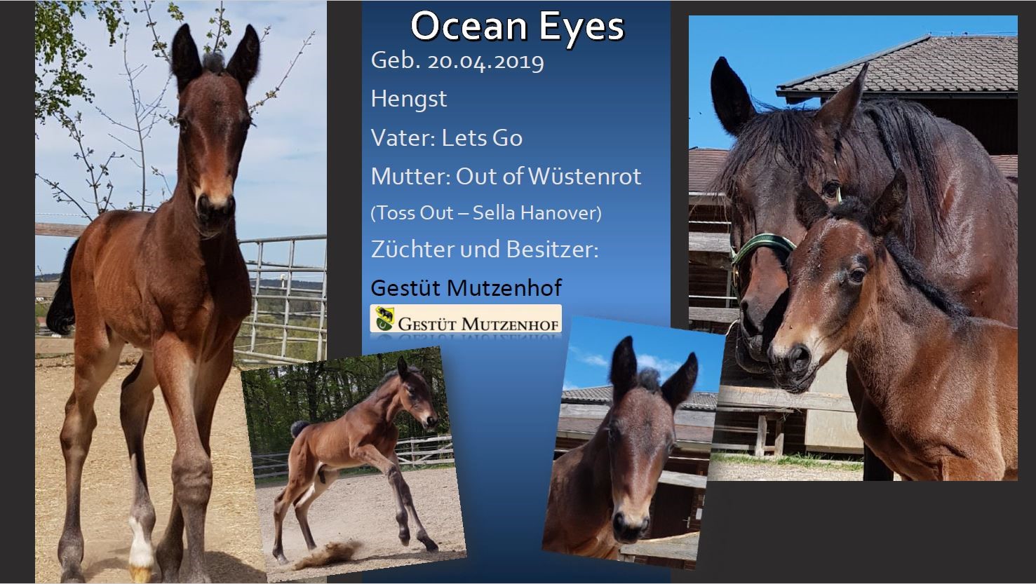 Ocean Eyes
