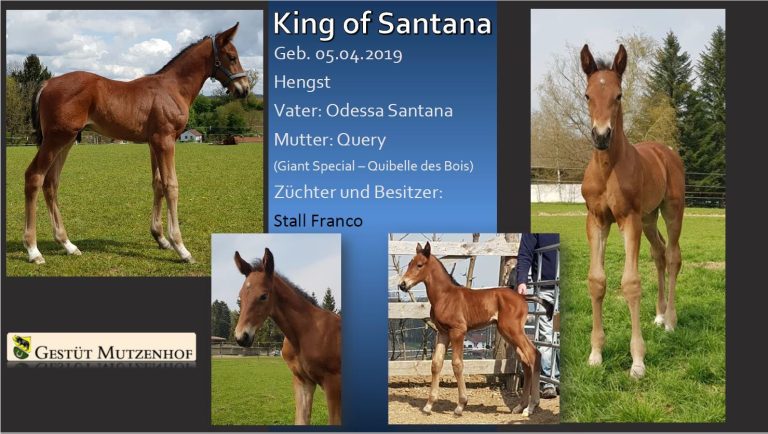 King of Santana