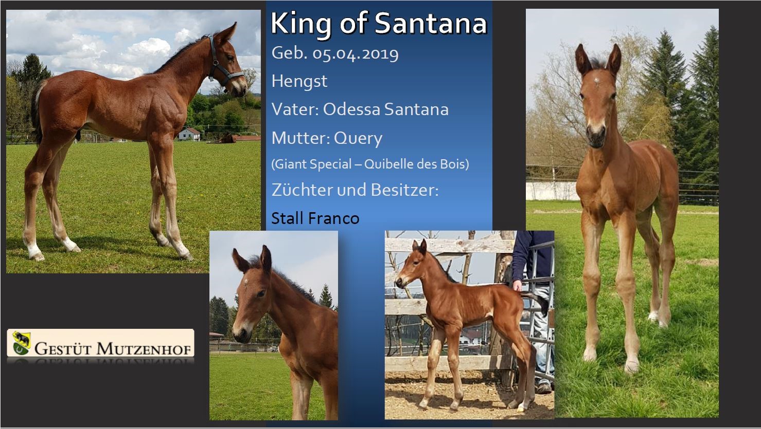 King of Santana
