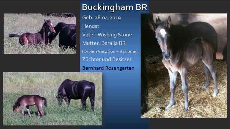 Buckingham BR