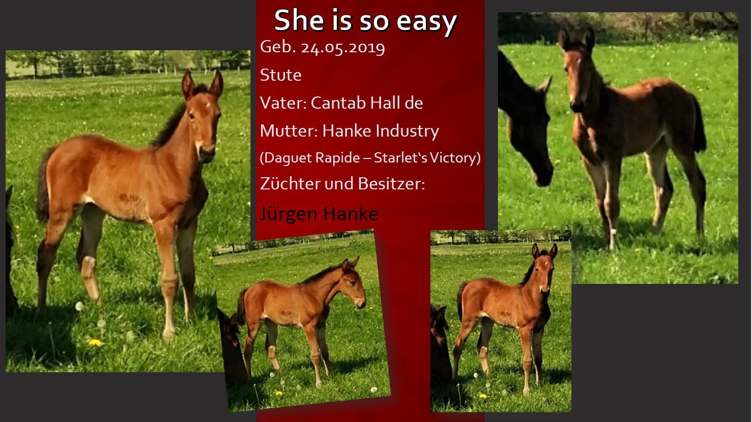 She is so easy