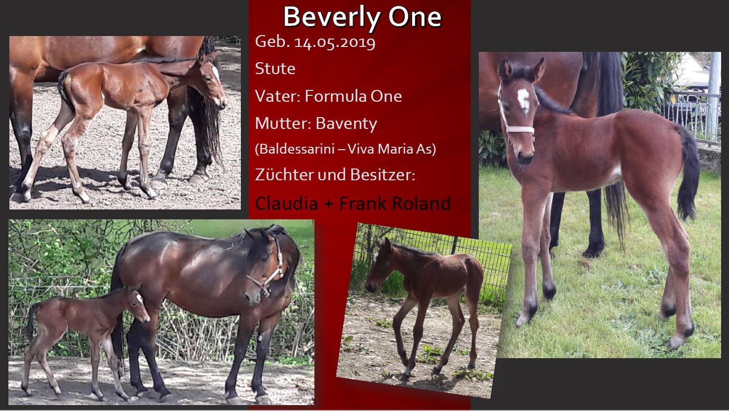 Beverly One