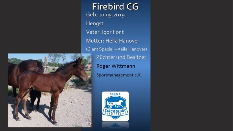 Firebird CG