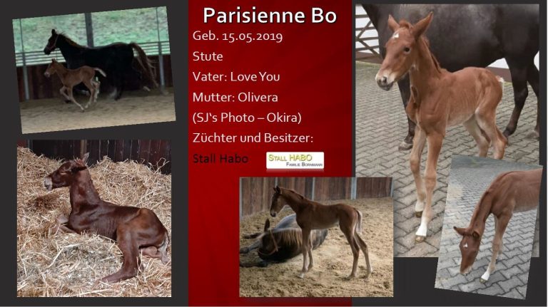 Parisienne Bo