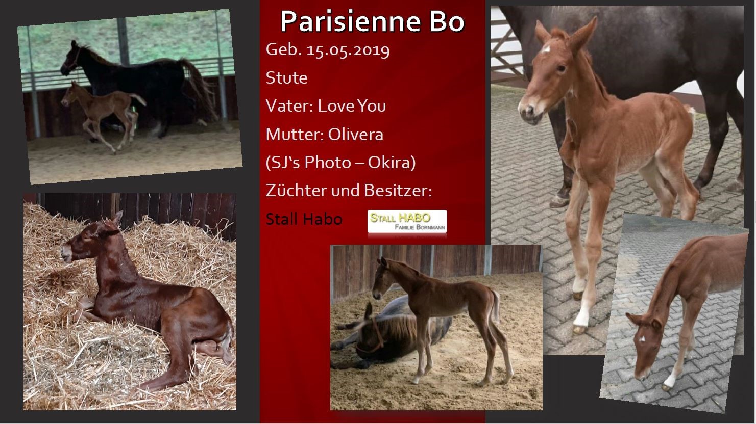 Parisienne Bo