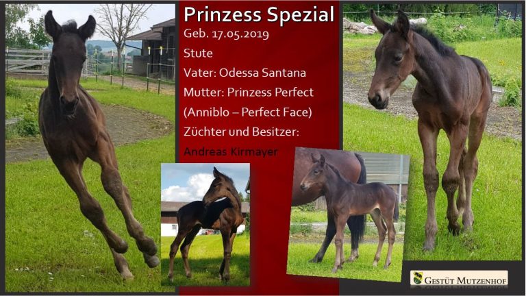 Prinzess Spezial