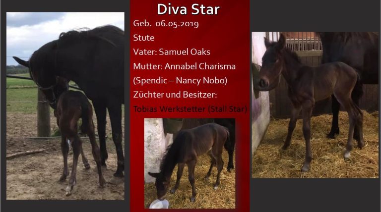 Diva Star