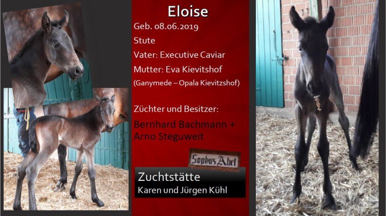 Eloise