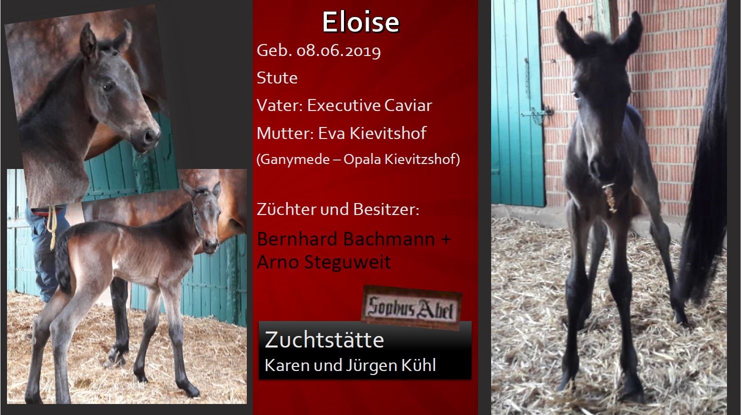 Eloise
