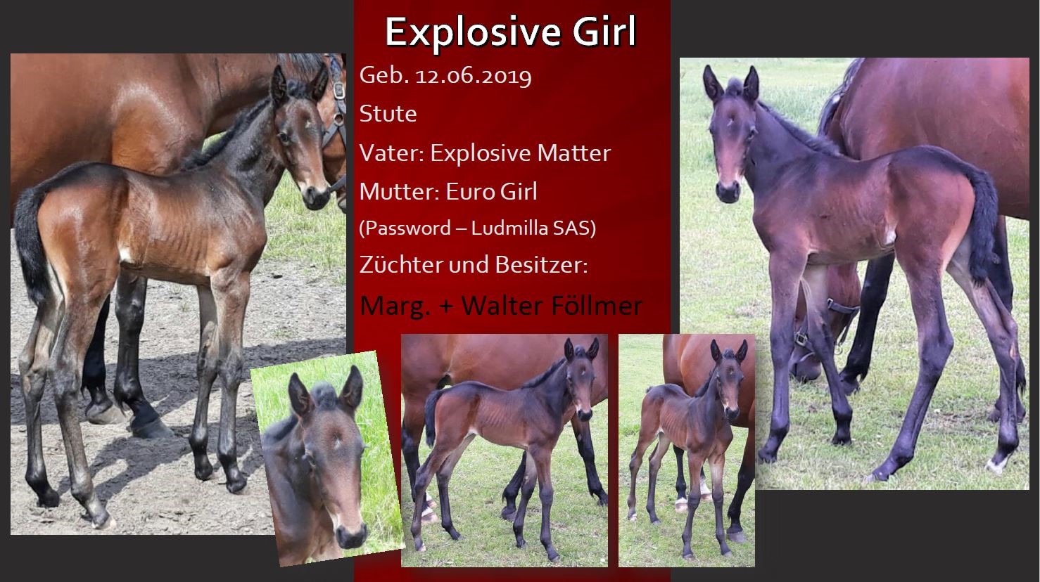 Explosive Girl