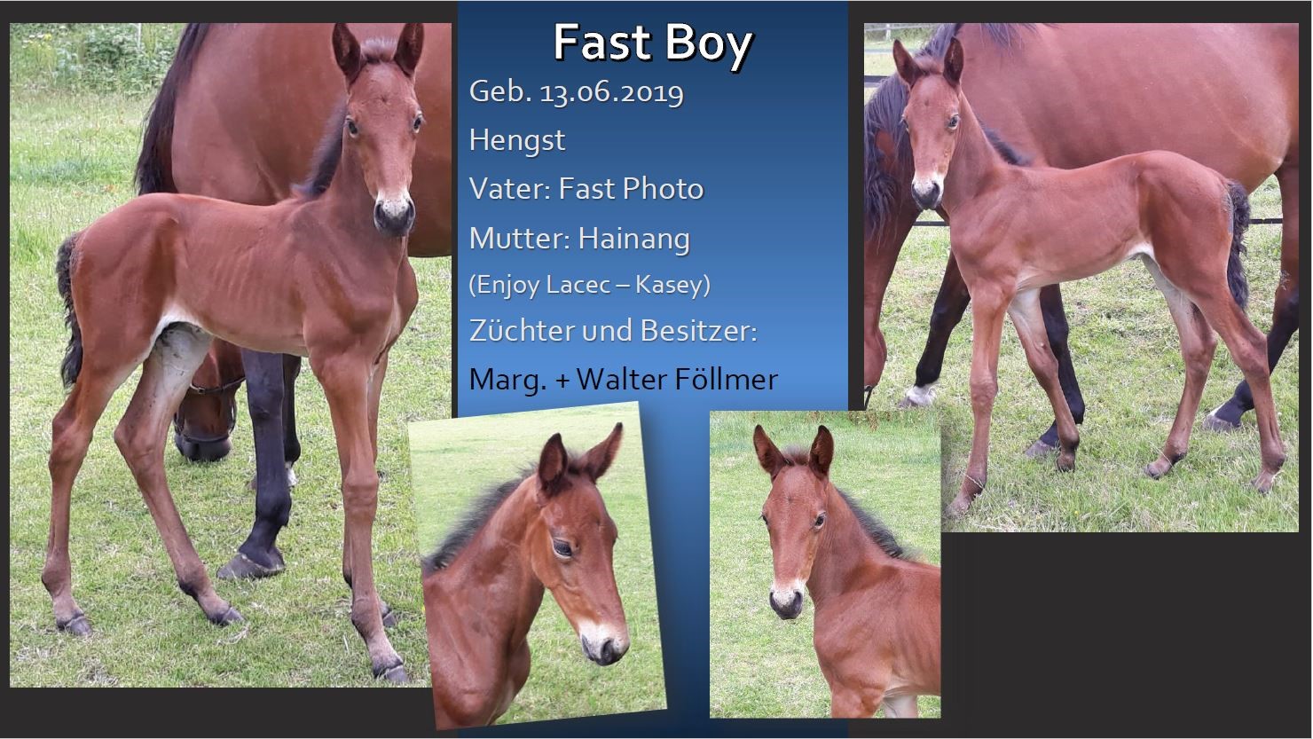 Fast Boy