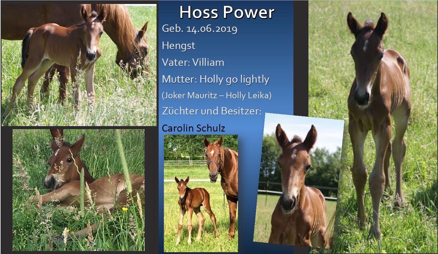 Hoss Power