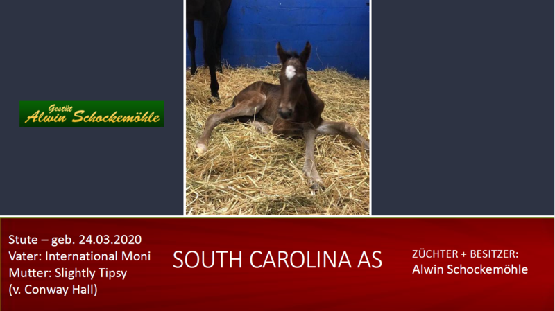 SOUTH CAROLINA AS