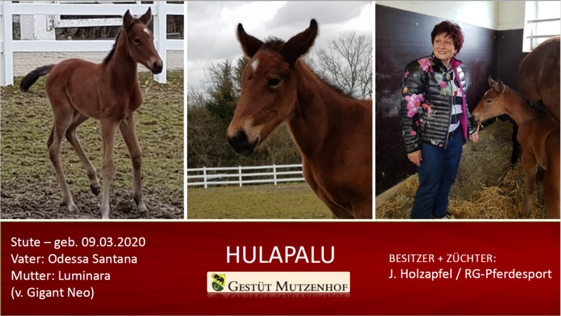 Hulapalu