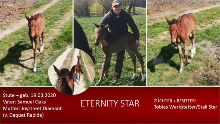 Eternity Star