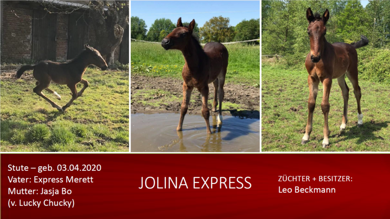 Jolina Express