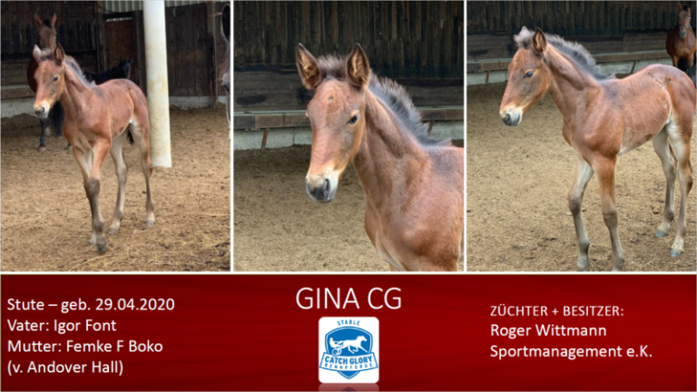 Gina CG