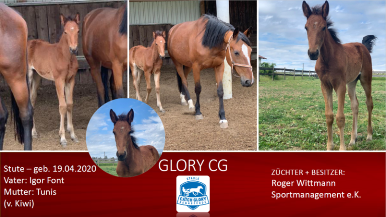 GLORY CG