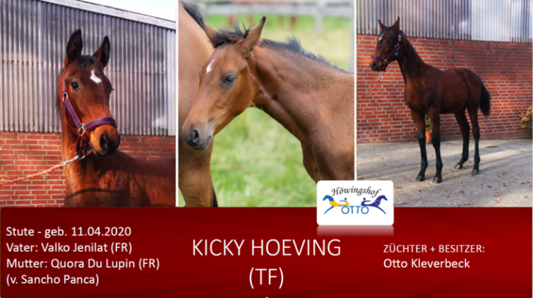 Kicky Hoeving