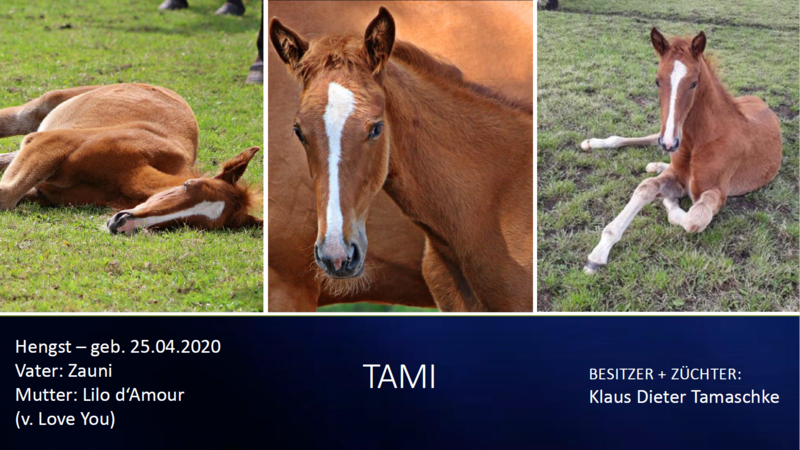 Tami