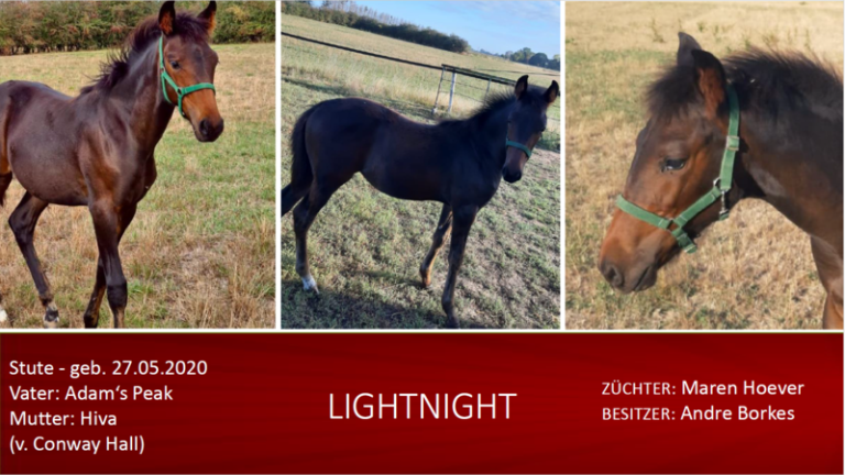 LIGHTNIGHT