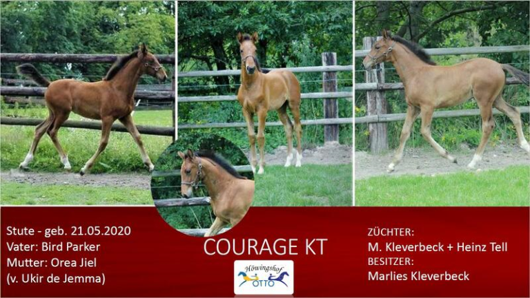 COURAGE KT