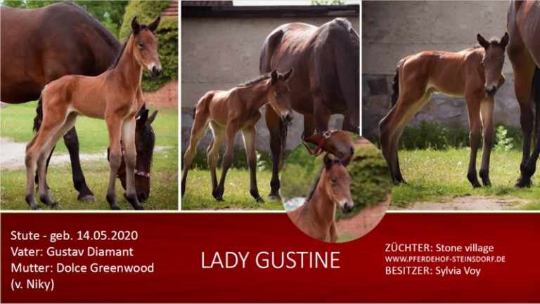 Lady Gustine