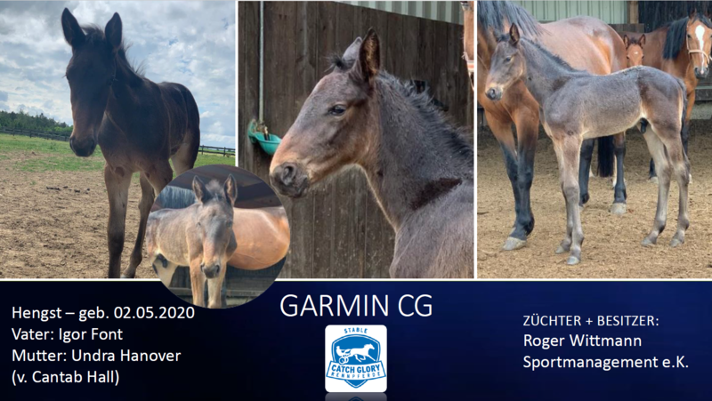 Garmin CG