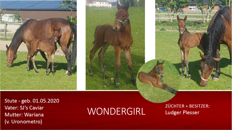 Wondergirl