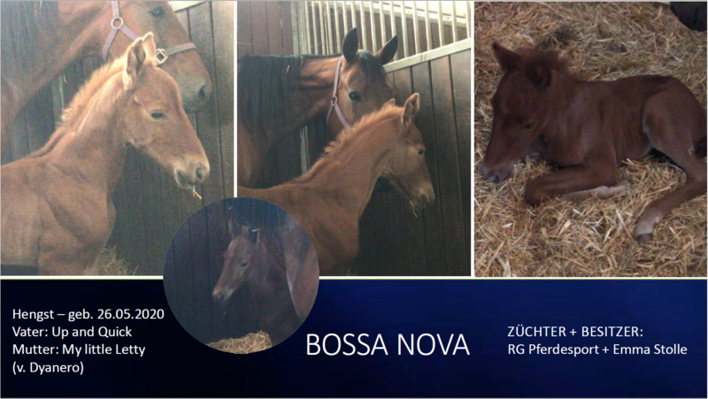 Bossa Nova