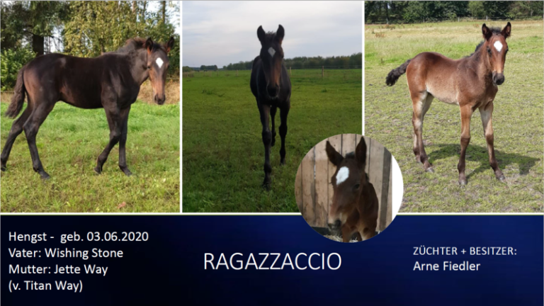Ragazzaccio