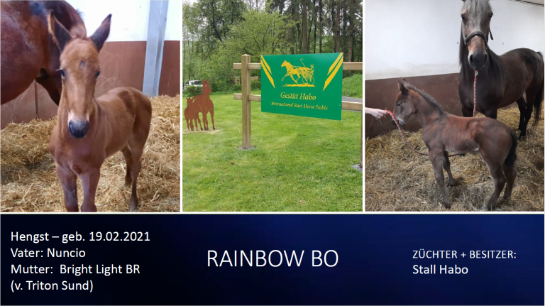 Rainbow Bo