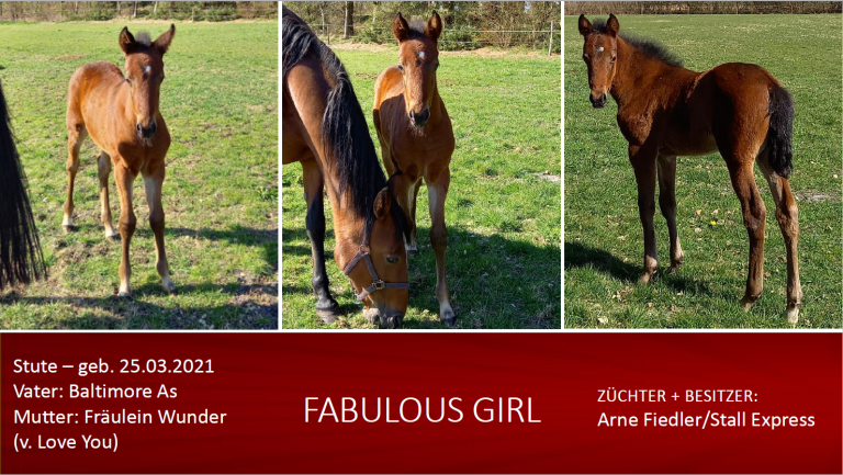 Fabulous Girl