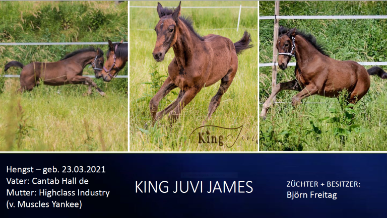 King Juvi James