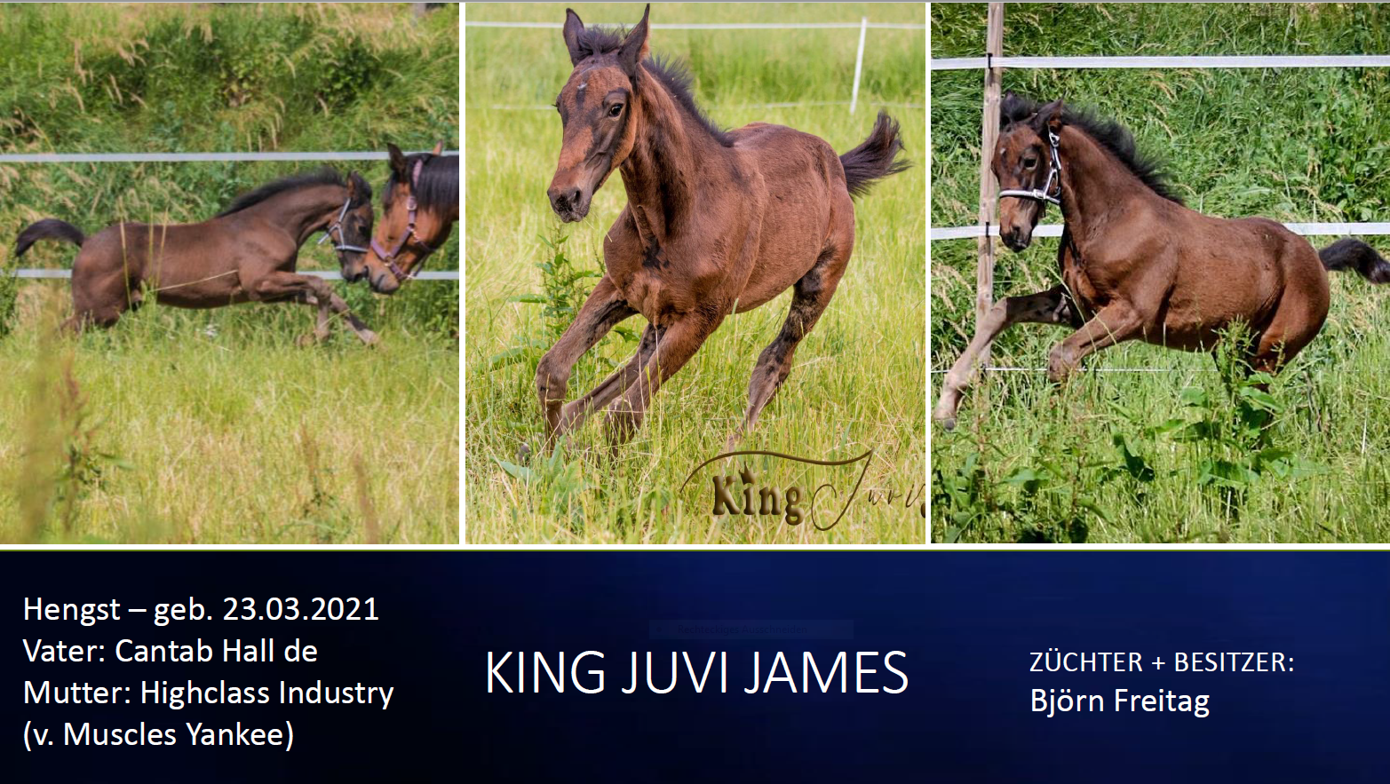 King Juvi James