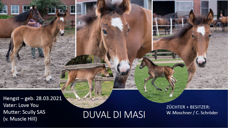 Duval di Masi