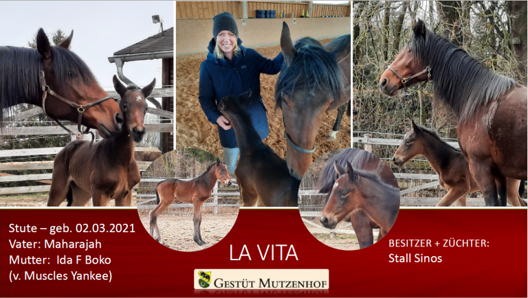 La Vita