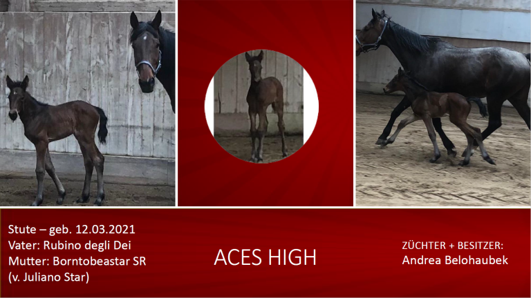 Aces High