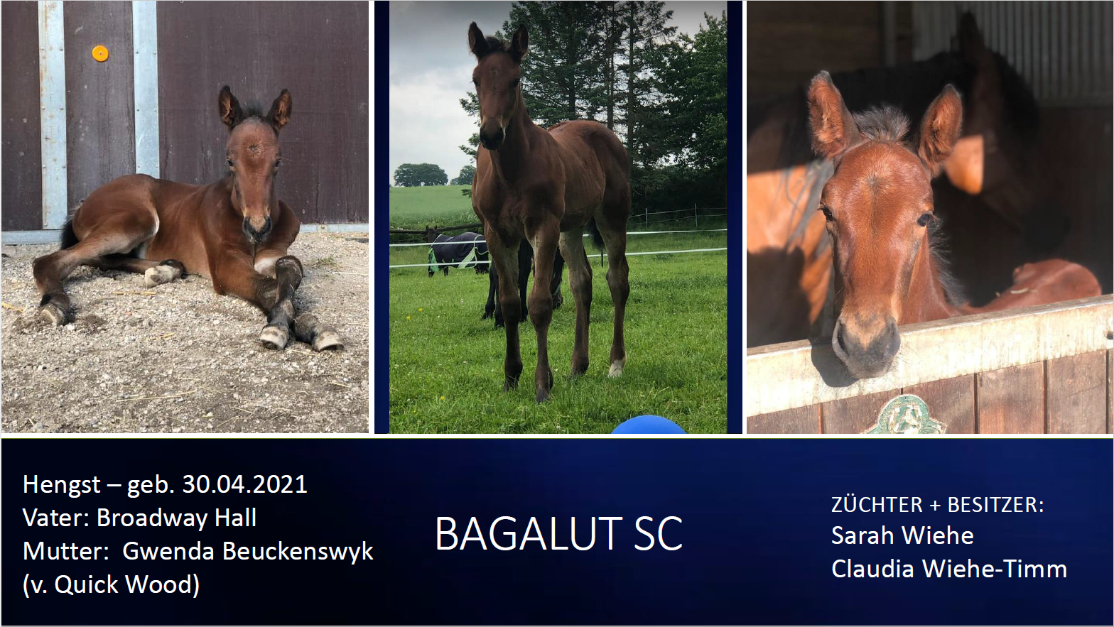 Bagalut SC