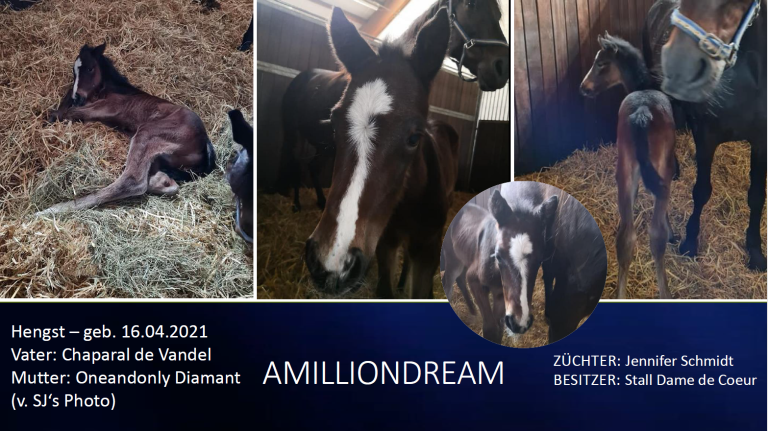 Amilliondream