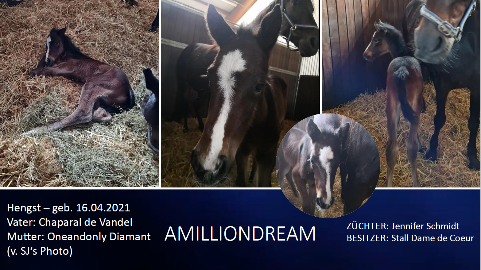 Amilliondream