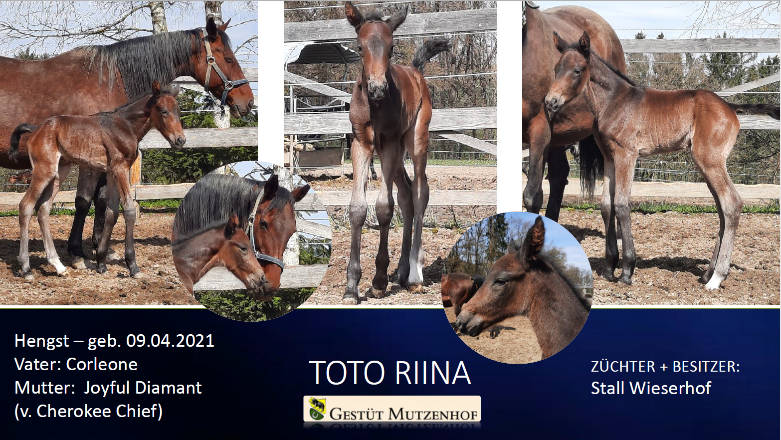 Toto Riina