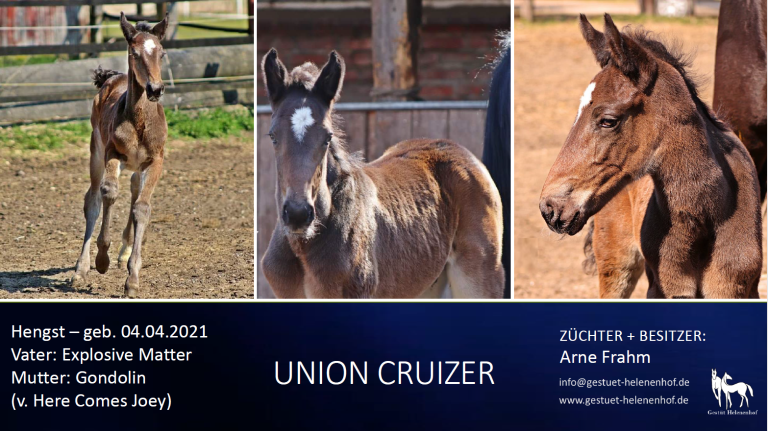 Union Cruizer
