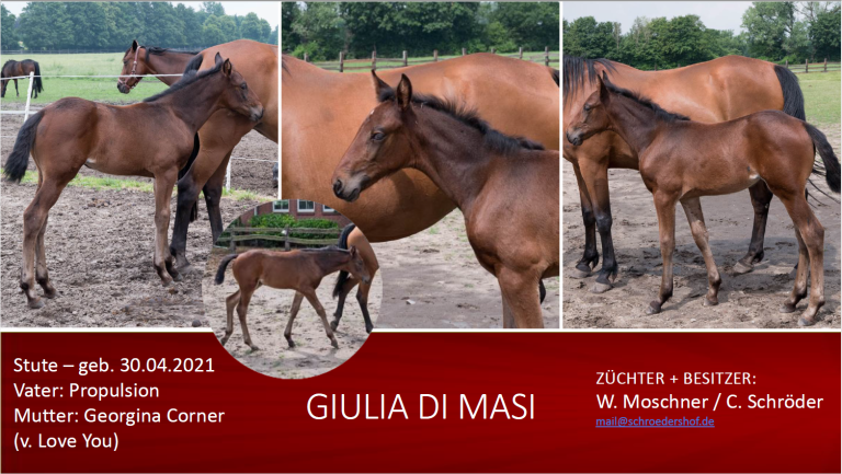 Giulia di Masi