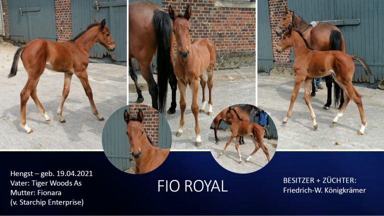 Fio Royal
