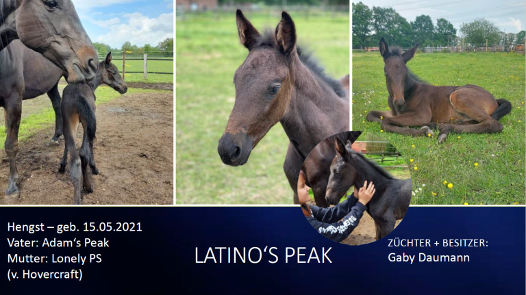 Latino's Peak